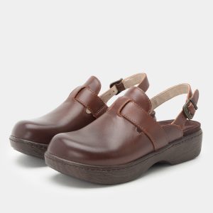 Olanna Chestnut Shoe