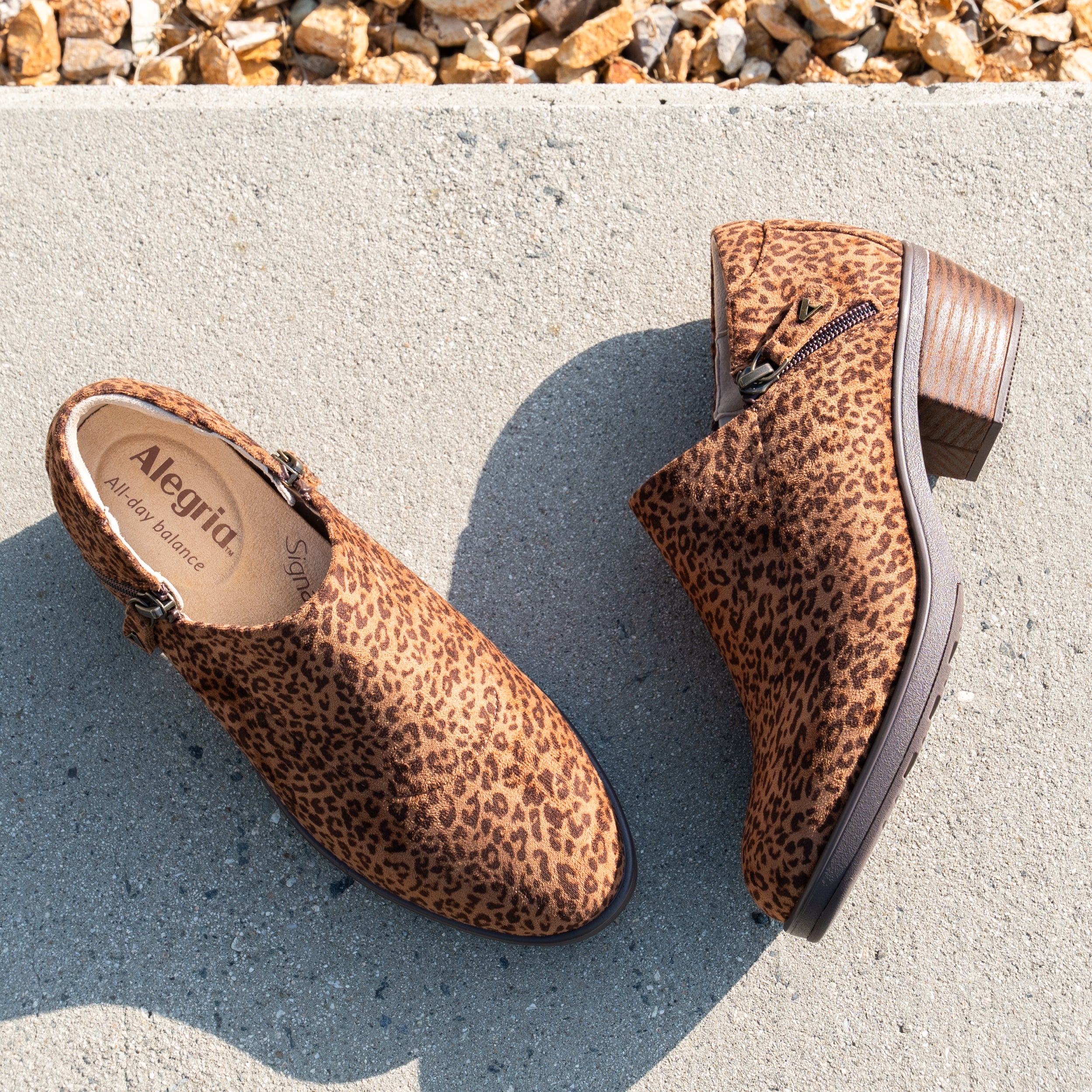 Wynne Leopard Shoe - Image 2